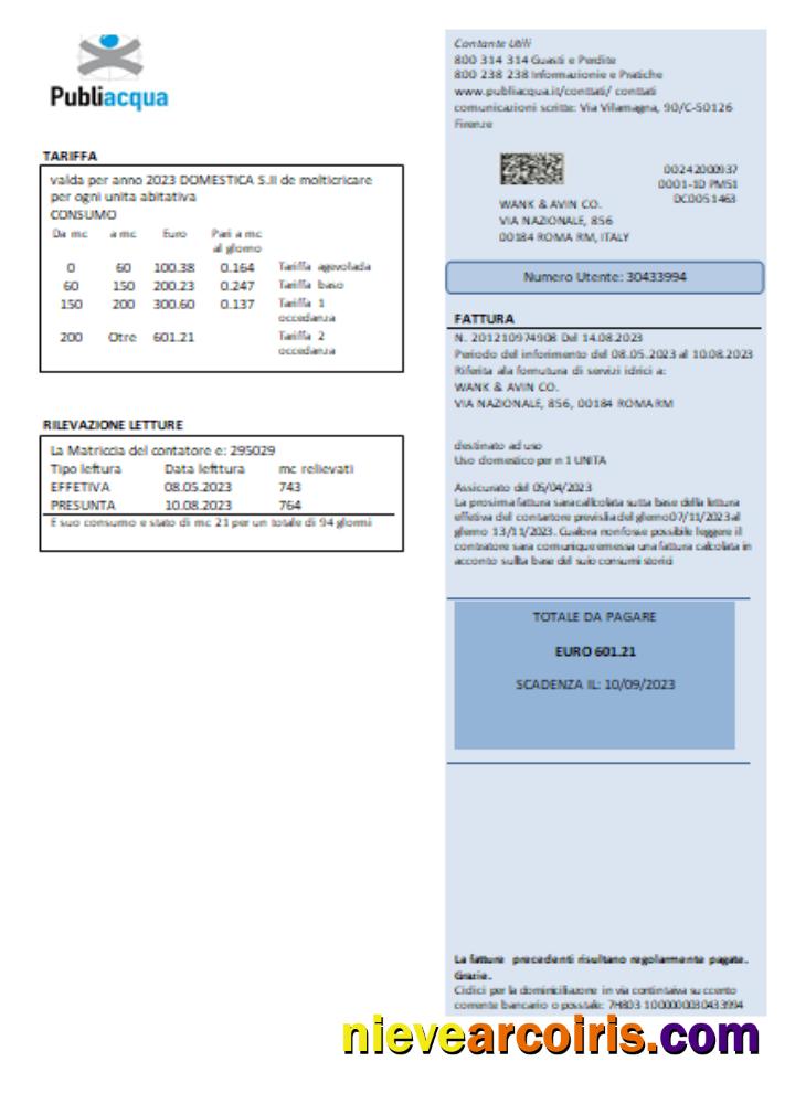 Publiacqua utility business bill